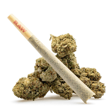 Collection image for: Eighths