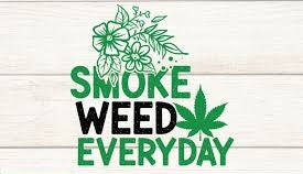 Collection image for: Home page